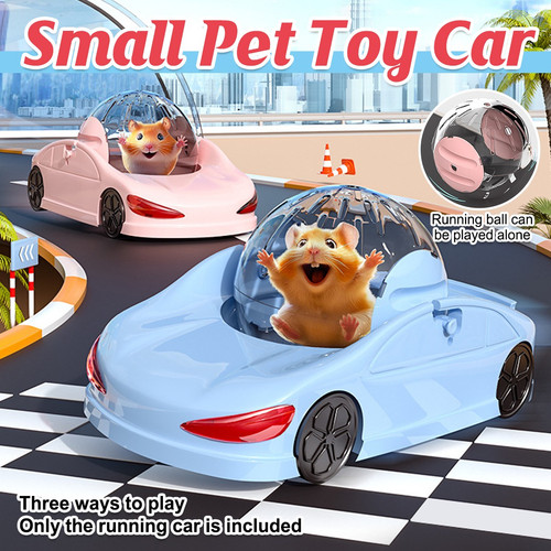 Fun hamster car - hamster,