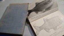 Two Early Fishing Books. Thread Line Angling. Wanless 1st Edt. Roach Fishing 49.