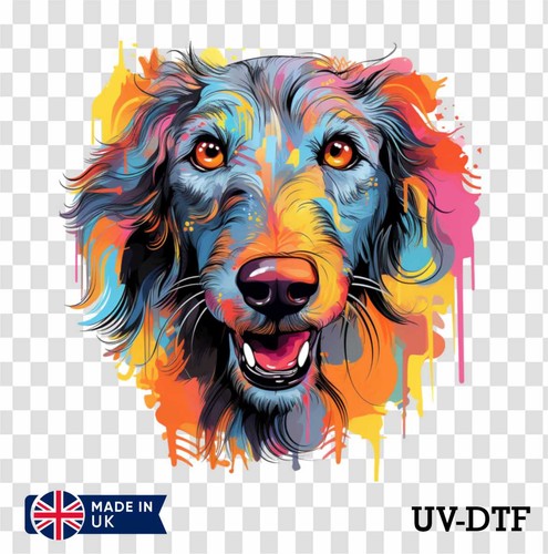 Colorful scottish deerhound - colorful,