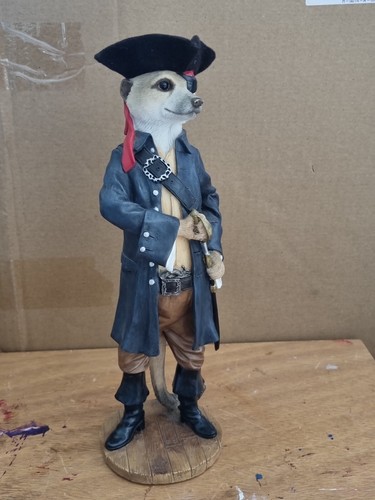 Country artist meerkat - country,