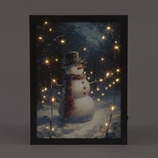 Snowtime Fibre Optic Framed
