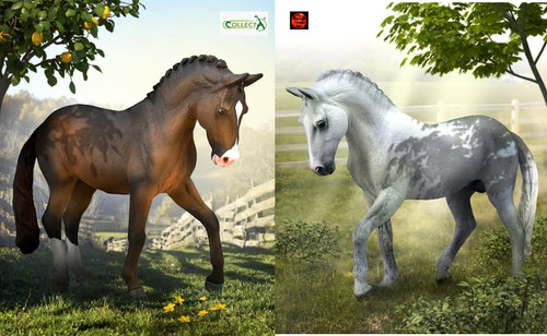 Trakehner stallion horse - stallion,