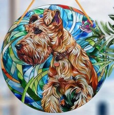 IRISH Lakeland Terrier Dog