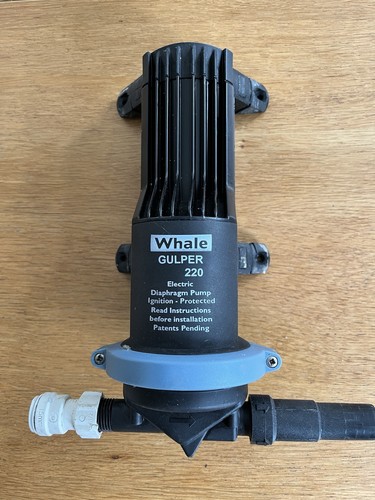 Whale gulper shower waste - whale,