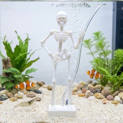 Dancing skeleton aquarium - skeleton,