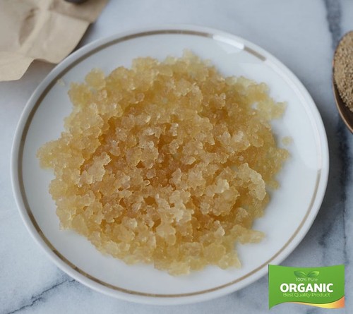 Water kefir grains tibicos - kefir,