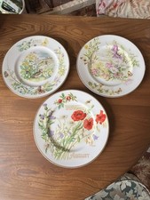 Caverswall The Country Diary of an Edwardian Lady April June & August Plates