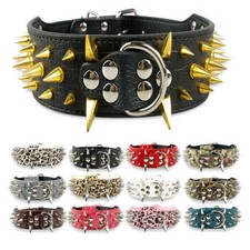 Spiked Rivet Studded Dog