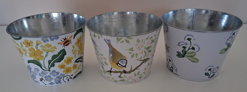 Emma bridgewater plant - bridgewater, m&s