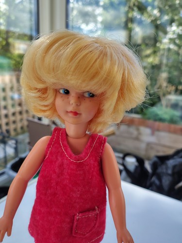 Vintage pedigree sindy - vintage,