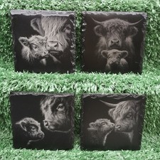 Highland Cow & Calf Laser