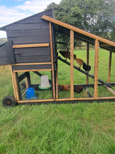 Chicken coop house complete - coop,