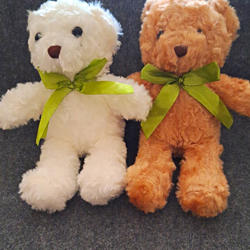 Plush teddy bears white - teddy, &
