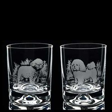 Bichon Frise Dog Whiskey