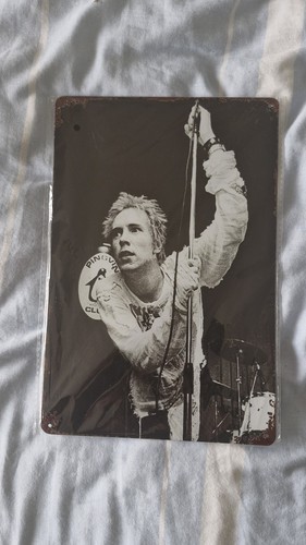 Johnny rotten john - rotten,