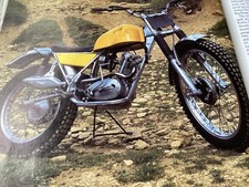 WASP TRIUMPH TIGER CUB TRIALS