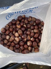 2kilo Of Conkers Spider Repellent Mixed Horse Chestnut