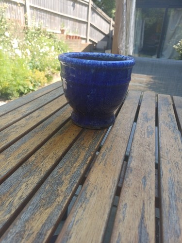 Anthropologie plant pot - plant, for