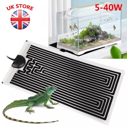 Adjustable temperature reptile - temperature,