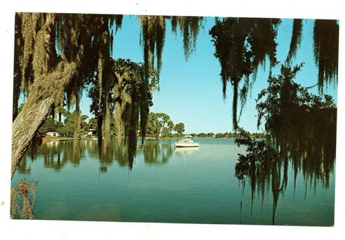 Postcard tarpon springs - postcard,
