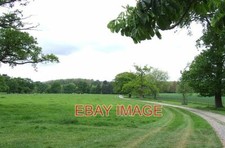 PHOTO  GRAZING LAND IN COUNTRY