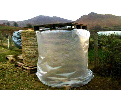 5ft hay straw - hay, bag