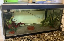 Fish Tank Aquarium 200 Litres