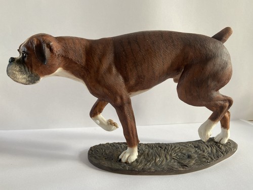 Boxer dog border fine arts - boxer,