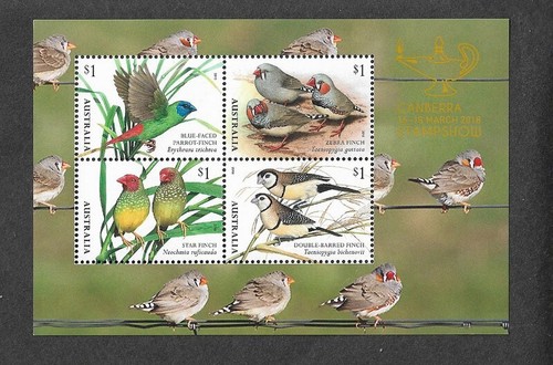 Australia birds finches - australia,