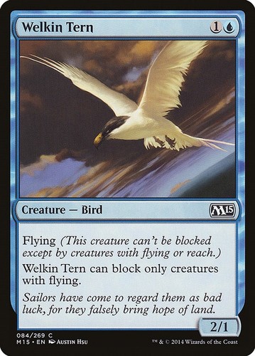 Welkin tern m15 84 - welkin,