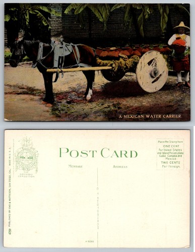 Mexican water carrier - water,