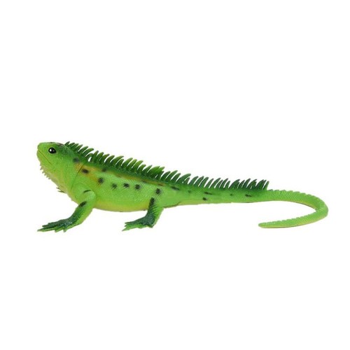 Rubber lizards vocal animal - lizards,