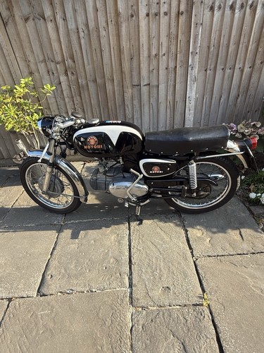 1968 motobi 250 - 250, barracuda
