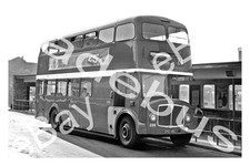 Bus Photograph HEBBLE MOTOR SERVICES DHD 186 [286]