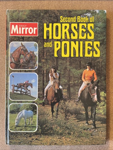 Daily mirror second book - mirror,