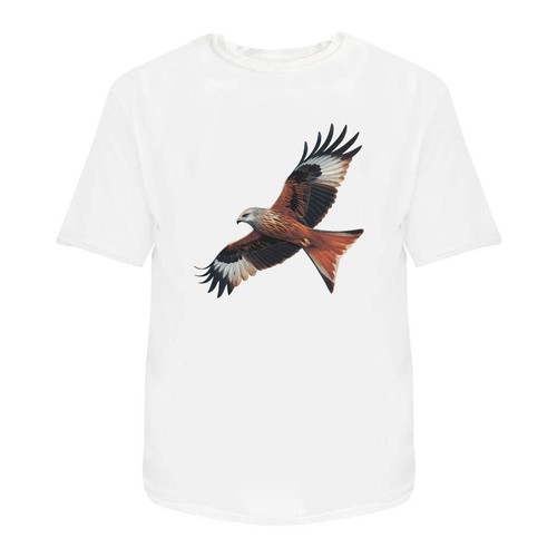 Red kite bird prey - 'red, prey'