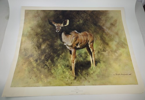 David shepherd kudu limited - david,