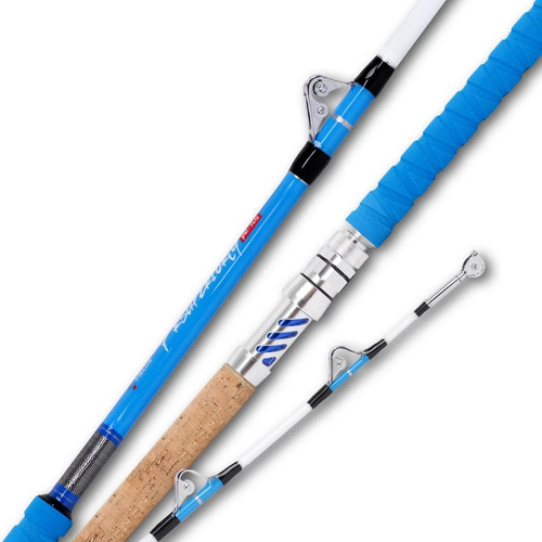 Saltwater fishing rod heavy - saltwater,