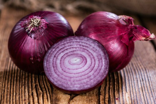 Onion red creole 1000 finest - creole,