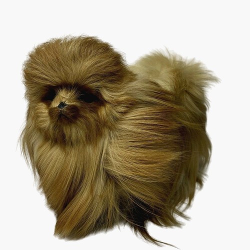 Vintage pomeranian dog - vintage,