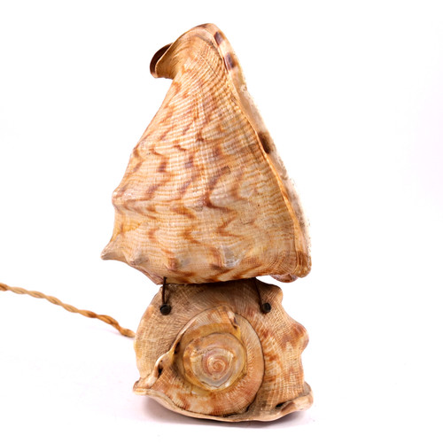 Conch shell lamp - conch, mcm