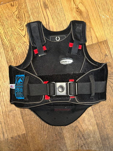 Champion horse riding body - champion,