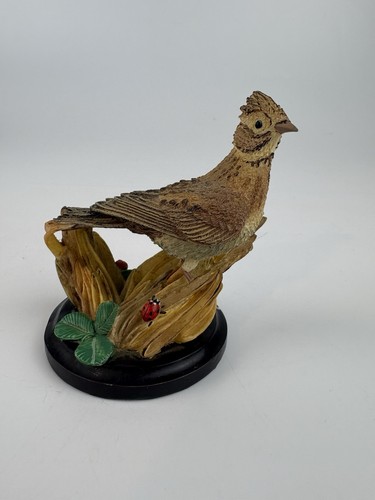 The country bird collection - bird,