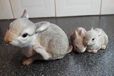 country artists natural world