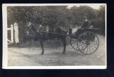 GIG Horse drawn carriage close up RP PPC