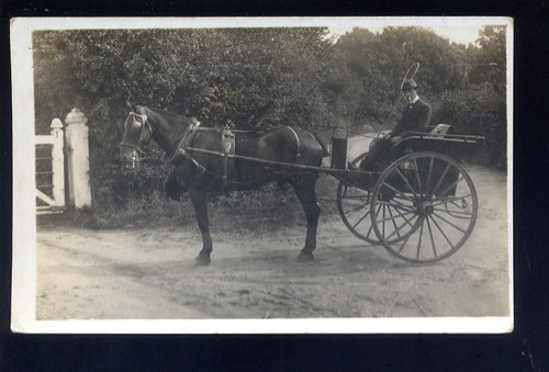 Gig horse drawn carriage close - drawn,