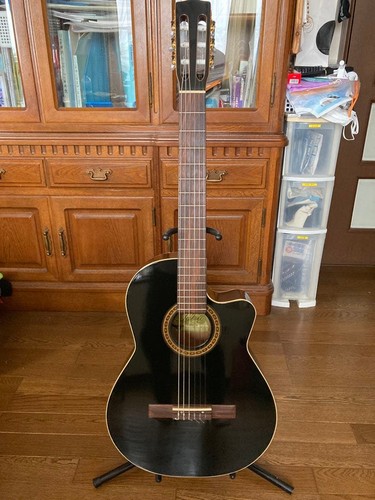 Godin patrie elegat guitar - godin,