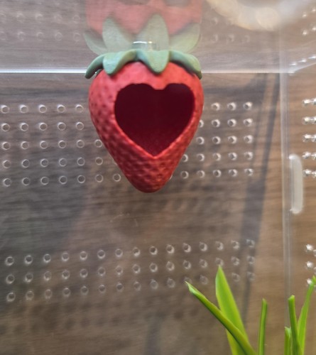 Printed strawberry jumping - printed,