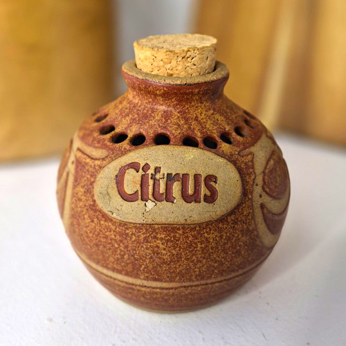 Vintage terracotta citrus - vintage,