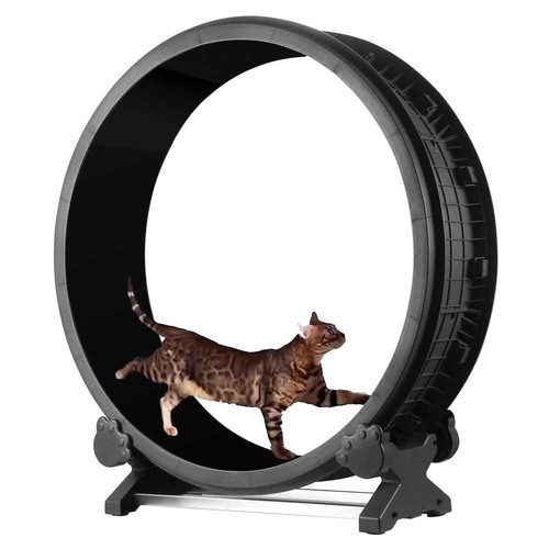 Cat exercise wheel - cat,